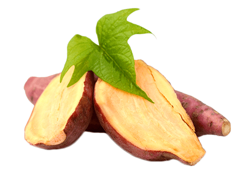 Akar Yacon di Reduslim