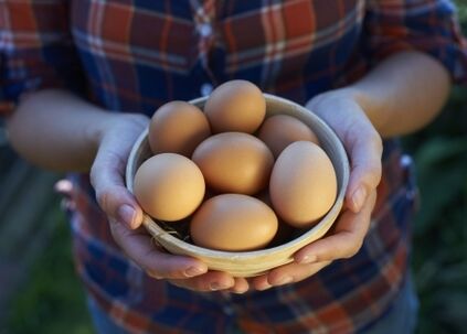 manfaat telur ayam