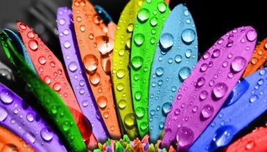 cara menurunkan berat badan dengan diet 6 kelopak